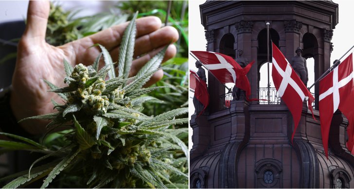 Legalisering, Danmark, Droger
